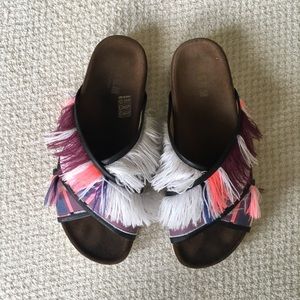 MSGM Fringe Slides
